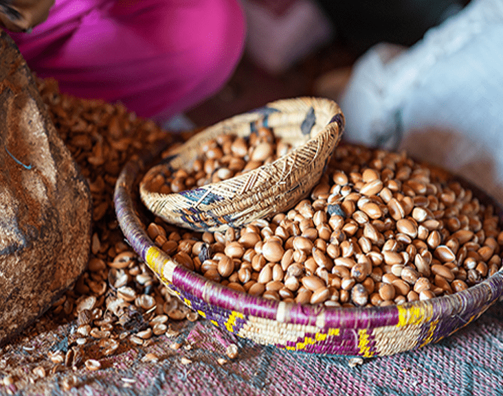 Argan Nüsse
